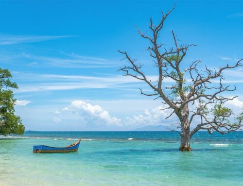 Indonesia $1billion investment